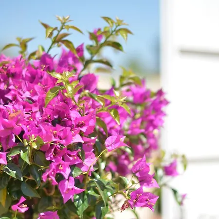 Bed & Breakfast Lo Spazio Di Mima 3*