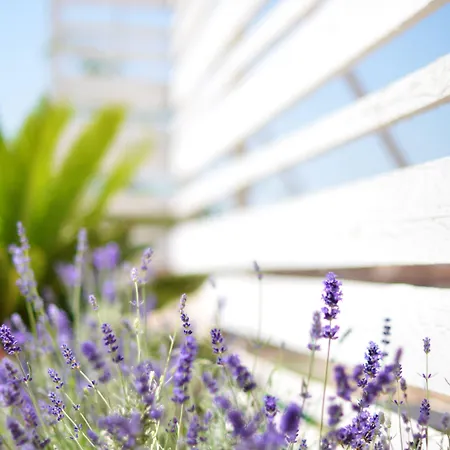 Lo Spazio Di Mima 3*