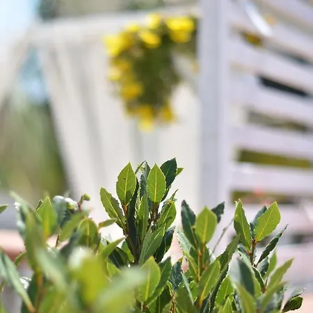 Lo Spazio Di Mima Bed & Breakfast Noto